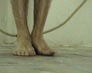 VideAcciones