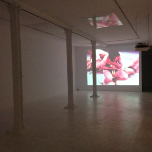 CAROLEE SCHNEEMANN Élan Vital