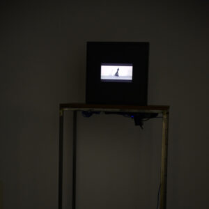 HIRAKI SAWA Bell