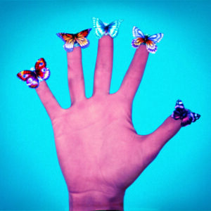 JACK GOLDSTEIN Some Butterflies
