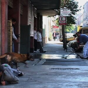 FRANCIS ALŸS Choques