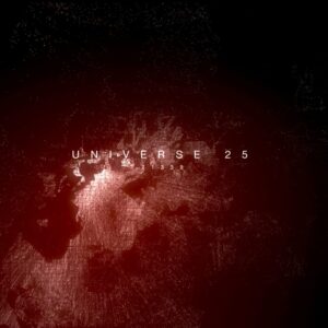 IVÁN PUÑAL (aka The Pleasant View ) Universo 25