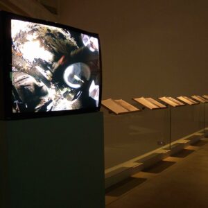 BÁRBARA FLUXÁ Proyecto Coche: excavando el final del siglo XX (2006-2009)