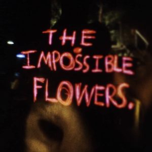 JEFF ZORRILLA The Impossible Flowers