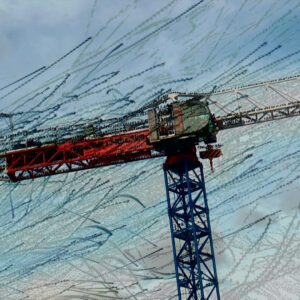 JEAN-MICHEL ROLLAND  Traces:birds