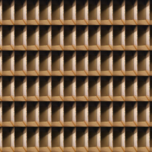 HASAN DARAGHMEH  The Door