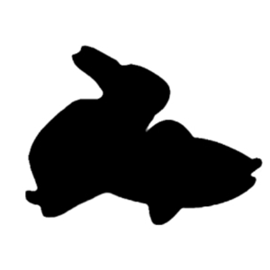 [PEZCONEJO]