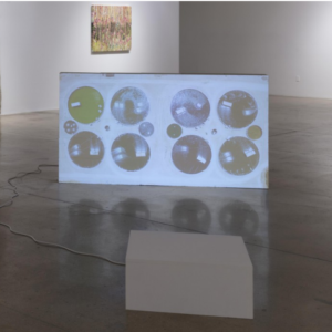 LUKAS MARXT​ Imperial Valley (cultivated run-off)