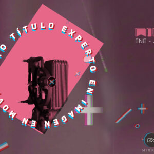 MIMP – Título de Experto
