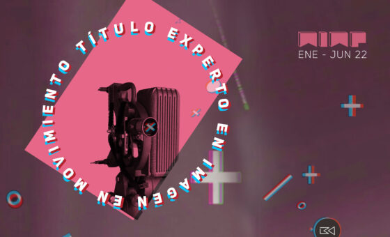 MIMP – Título de Experto