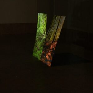 HELENA FERREIRA Rupture