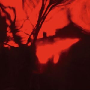 ANNA BARRIBALL Firelight