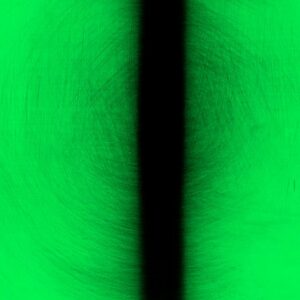ANNA BARRIBALL Night Vision