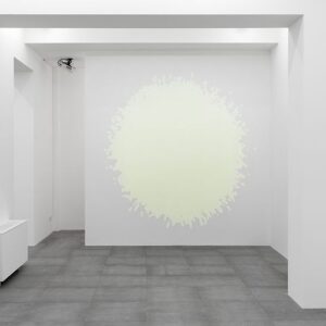 TOM FRIEDMAN Sun