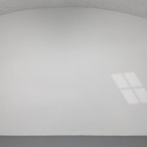 TOM FRIEDMAN UFO