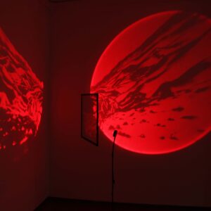 HELENA FERREIRA Sliptscape