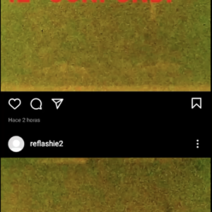 SANTIAGO CARLINI Reflashie