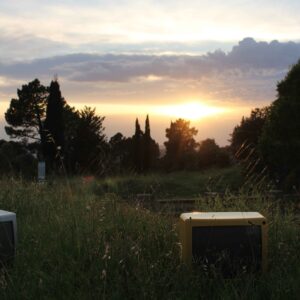 ANNELVY DROUET – EIDEN RUBIO Liminal Echoes