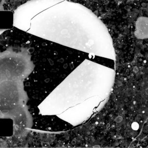 ABINADI MEZA Eyes Break Into a Thousand Lights