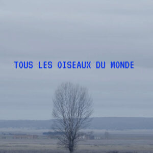 XABI BOU Tous Les Oiseaux Du Monde