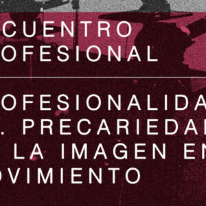 20.09.2024. 12h. Sala Alcalá 31. Encuentro Profesional